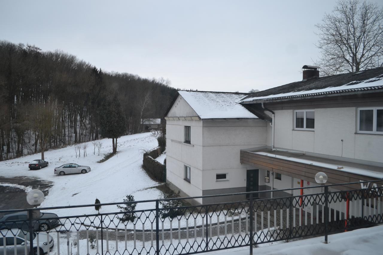 Pension Waldesruh Linz Bagian luar foto